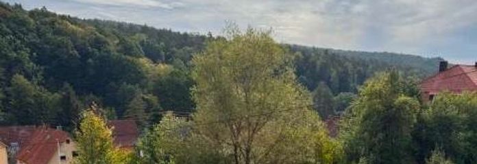 WRS Immobilien - Sandberg - Terreno edificable residencial