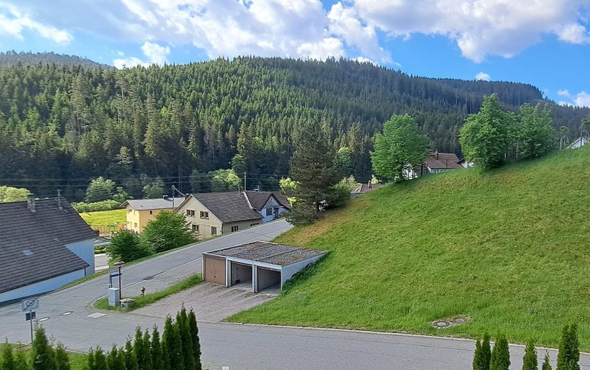 Modernes, zukunftsicheres Effizienzhaus - Wohnen, Arbeiten oder Vermieten - unverbaubare Aussicht – Waldblick