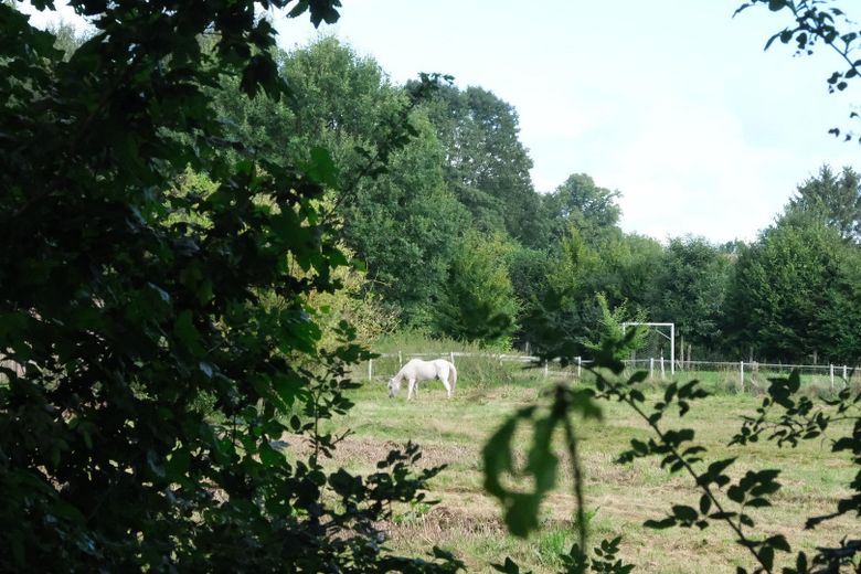 Grundstück in Lüdersburg – Wiese hinter dem Grundstück