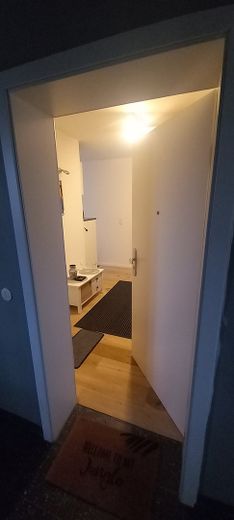 kl. Single Wohnung Innenstad in Braunschweig, neu renoviert, voll möbliert , mit allen Hausgeräten, in ruhige, Grüne Lage, nur ca. 300m von Straßenbahn entfernt – Foto 4