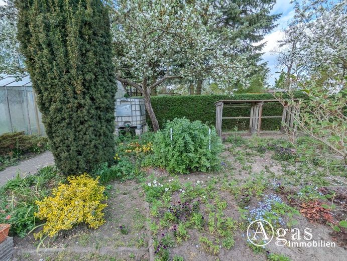 Großes Gartengrundstück mit Laube am Ortsrand von Zehdenick (Eigentum - keine Pacht, kein Verein) – Garten