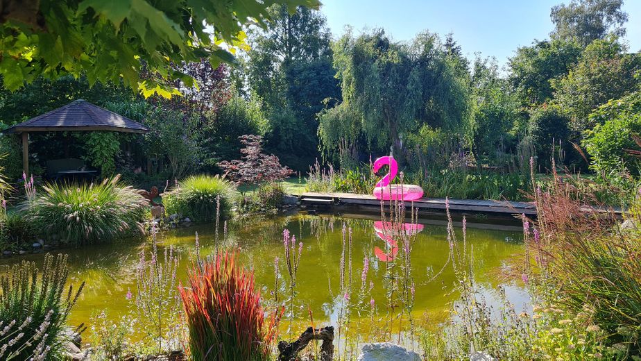Perfektes Familiendomizil: Zentral wohnen, am Waldrand leben - provisionsfrei – Schwimmteich
