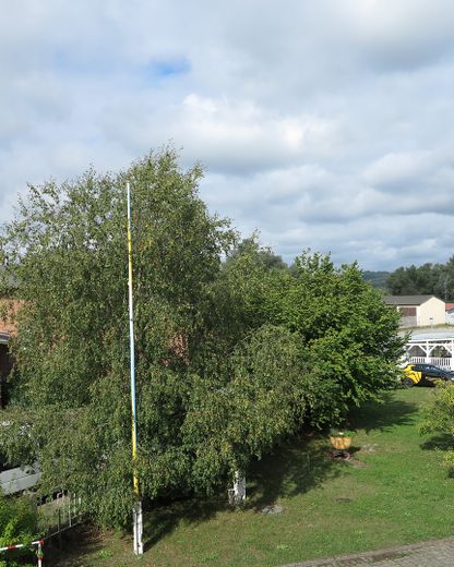 historisches Fabrikensemble (6.000 qm/160 Räume) im Peenehafen – Foto 28