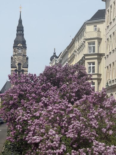 Listed monument-protected maisonette · 137m²· 70 m² roof terrace · elevator · vacant · Leipzig Zentrum-Nord – Umgebung