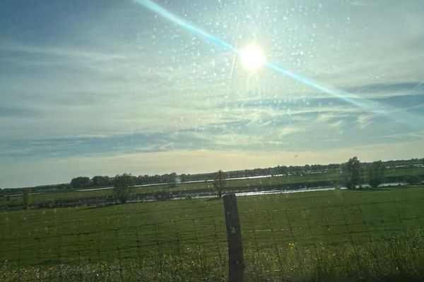 Seltene Gelegenheit in den Bislicher Rheinauen, Platz für Tiere, Natur und neue Ideen