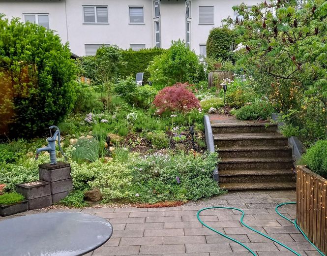 Mayen, Reihenhaus, ruhig aber stadtnah gelegen – Foto 5
