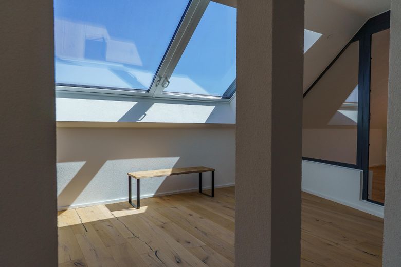 Panorama Dachschiebefenster