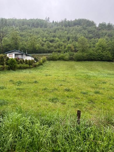 traumhaftes Baugrundstück in Simonskall, Ruhe & Natur – Grundstück