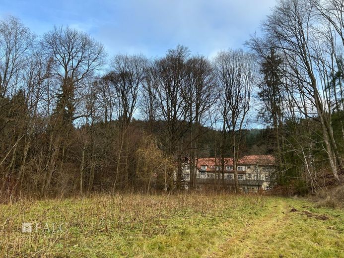 Traditionsreiches Hotelanwesen im Herzen des Thüringer Waldes - modernisiert und vielseitig nutzbar – Grundstück mit Hotel im Hintergrund