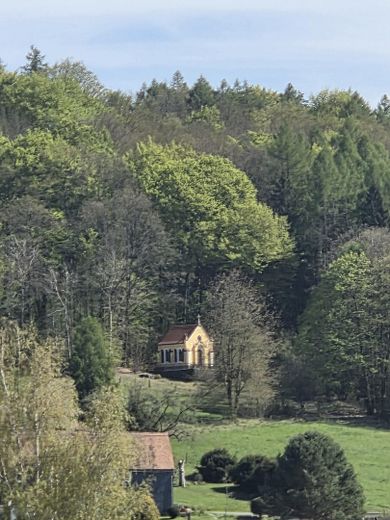 Inwestycja kapitałowa z potencjałem rozwoju – 4 miesz. + lokal użytkowy – Górne Łużyce – Foto 42