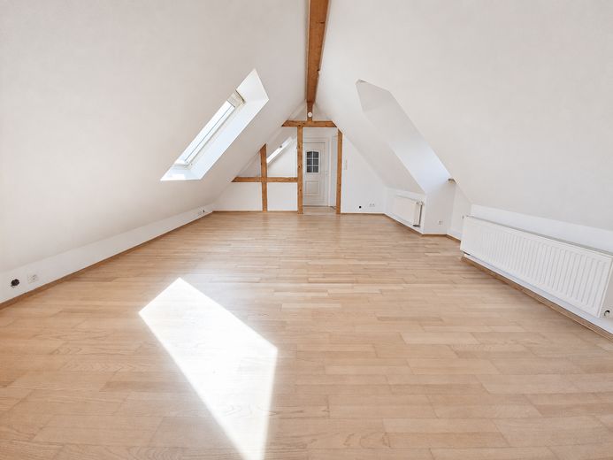 EERSTE BEWONING NA RENOVATIE AAN DE MAIN | Twee bijzondere woningen met aparte ingangen – Wohnen 1 OG