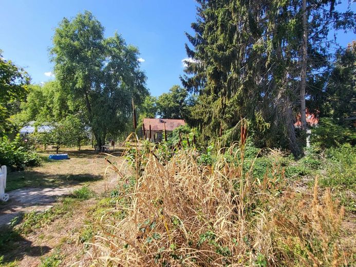 Wohlfühllage: Malerisches Baugrundstück – Blick auf Grundstück von hinten