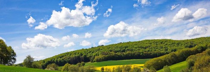 Farmland, grassland, or woodland for sale? Free price estimate in the Werra-Meißner district!