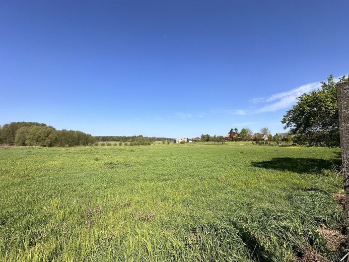 HORN IMMOBILIEN++ ein Haus mit viel Platz und sehr großem Grundstück in Boock – Grundstück