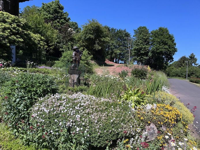 Blumenpracht an der Straße