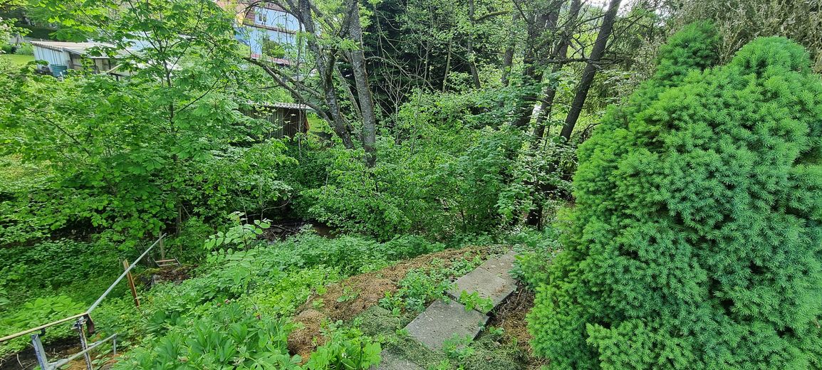 Baugrundstück erschlossen, mit vorhandener großen Garage u. kleiner Werkstatt – Foto 5