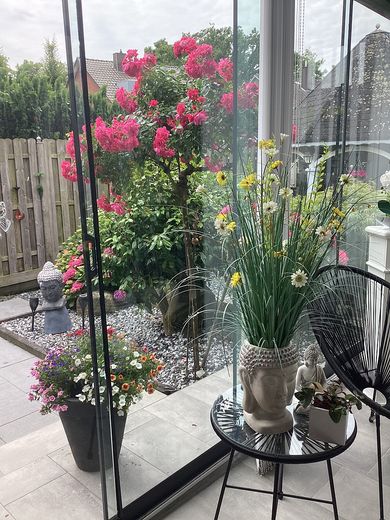 Blick von der Terrasse