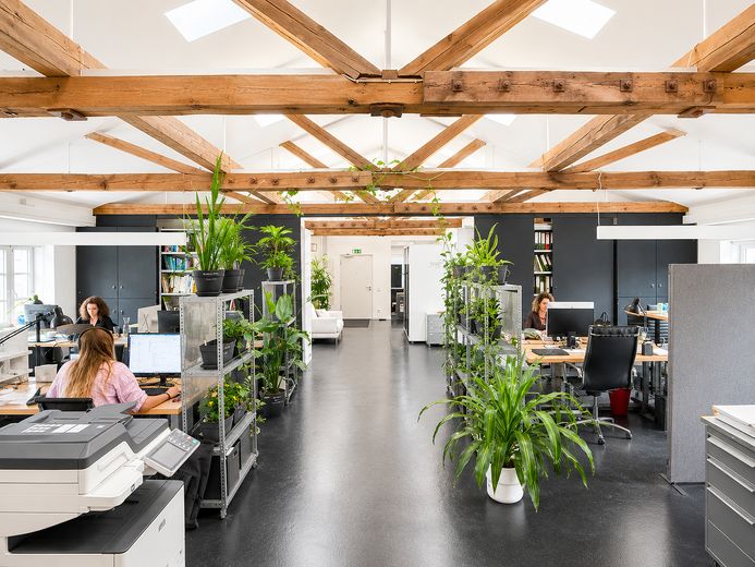Das Dachwerk - Ein Zuhause für Deine Arbeit – Fix- und Flexplätze