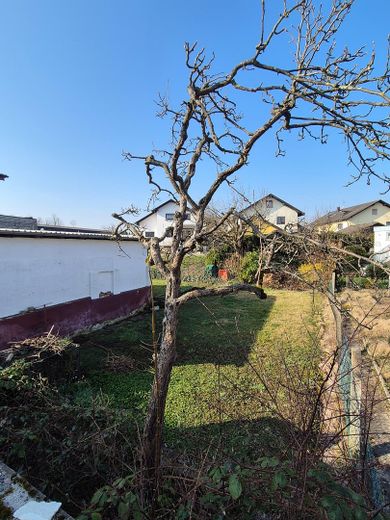 Partially renovated 6-room semi-detached house – Sicht in den Garten