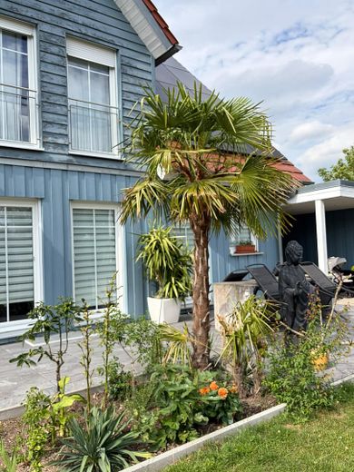 Well-maintained wooden house  200m², 8 rooms, 4 bathrooms and particularly energy-efficient building services – Photo 4