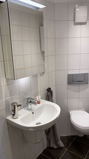 Wohnen und Arbeiten: Stilvolles Mehrfamilien- und Geschäftshaus mit großem Garten. – 1. OG Duschbad