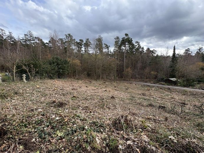 ruhiges Baugrundstück in Waldrandlage Röttenbach bei Heßdorf – Baugrundstück Röttenbach 014