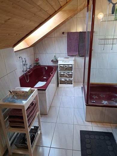 HAUS-SCHLUCHSEEBLICK: 3 Ferienwohnungen mit "Classic-Car-Ambiente" in Premiumlage (€ 1,1 Mio. +Inv.) – OG Wohnung Bad mit Badewanne