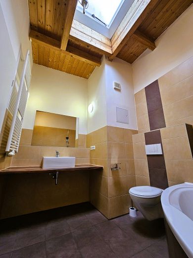 116qm 3-Raum-Wohnung (Erstbezug nach Renovierung) im Energieeffizienzhaus – Bsp Bad vor Sanierung
