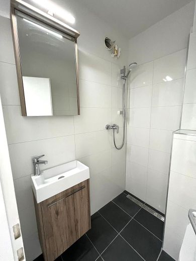 ¡Se alquila apartamento de 1 habitación recién renovado! (Clase de eficiencia energética D-190 kWh/(m²a)) – Bad