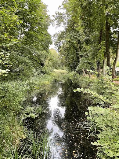 Umgebung - Lindweiher