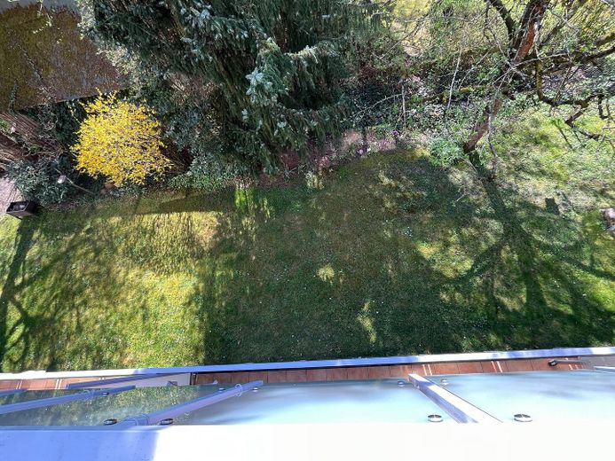 Blick auf den Garten