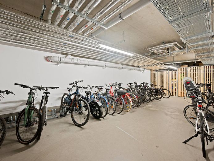 ¡Luminoso piso de 3 habitaciones en Dresde, Pieschen! – Fahrradkeller