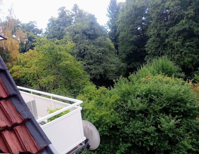 रहना-हाइकिंग-वनस्नान-पादस्नान – Schl.-zi. Ausblick zum Balkon