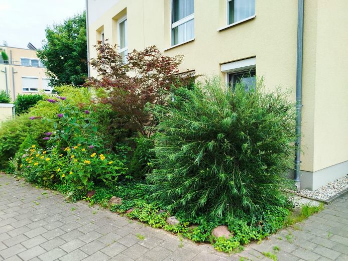 Family-friendly modern semi-detached house in a quiet development on the Havel – Vorgarten