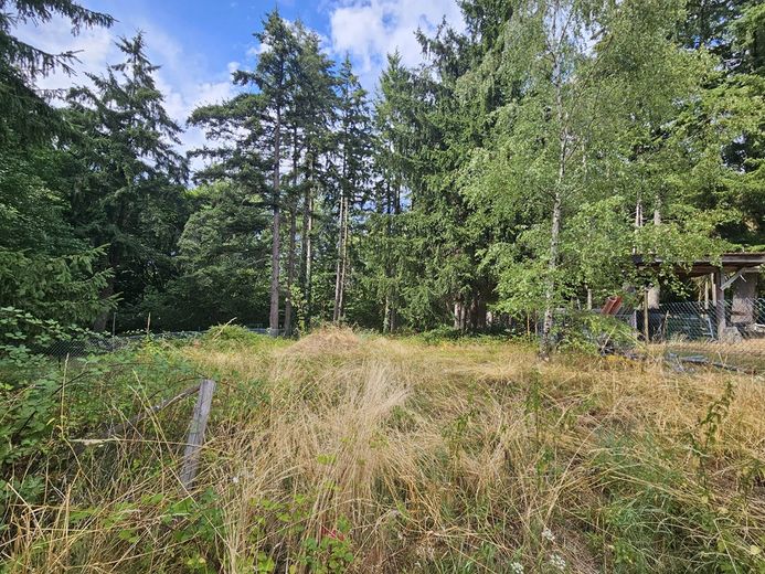 2 großzügige Wohnhäuser auf 2000m² Grundstück mitten im Pfälzer Wald – Foto 5