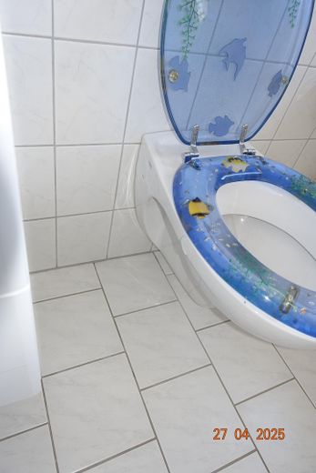 Toilette im Bad