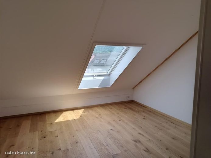 Zimmer DG