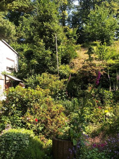 Königsfeld, EFH – Foto 9