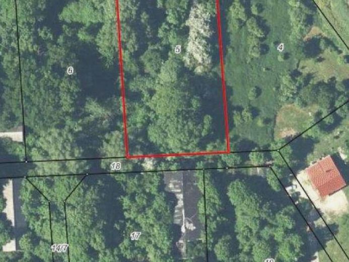 3.172 m² Naturgrundstück auf Rügen – Ruhe, Weite & Entwicklungspotenzial – Foto 1
