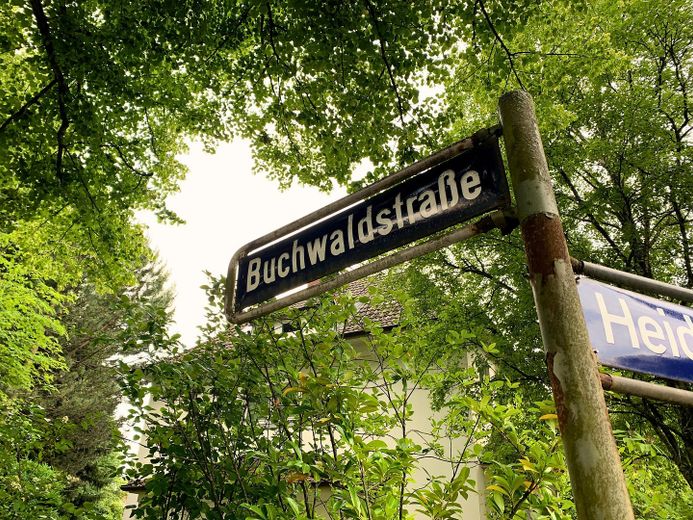Modernisierte Maisonette in ruhiger Villenlage von Alt-Rahlstedt – Foto 7