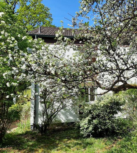 Haus vom vorderen Garten