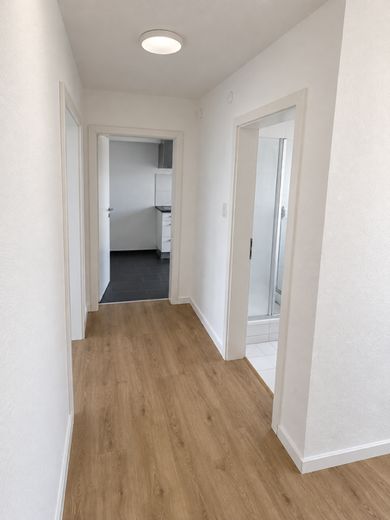 Eerste bewoning na renovatie op een aantrekkelijke locatie in Backnang – Flur / Eingangsbereich
