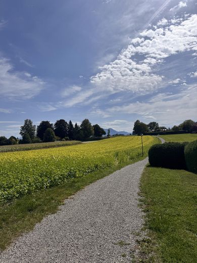 Baugrundstück mit Bergblick in Breitbrunn am Chiemsee – Foto 3