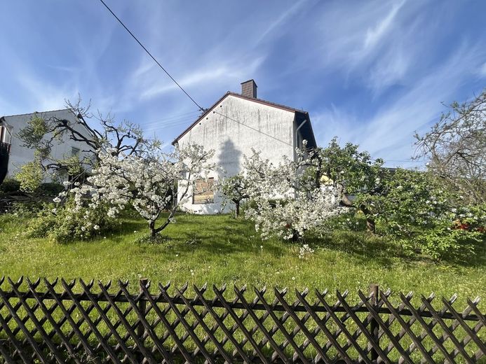 Sanierungsbedürftig, aber WOW! Unter Bodenrichtwert! DHH mit großem Garten in Wiesbaden Kohlheck! – Hausansicht 6