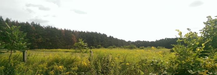 WJ-00105_bild_003.jpeg