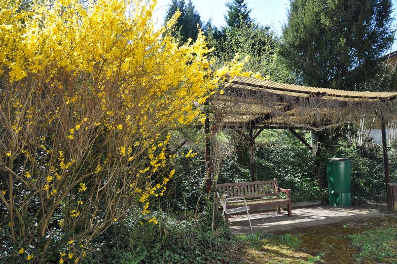 Pergola und Garten
