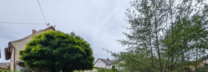 Bach & Garten