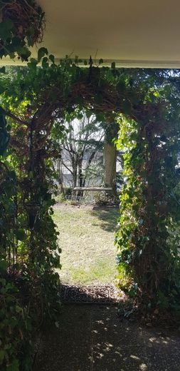 Blick Terrasse Richtung Garten