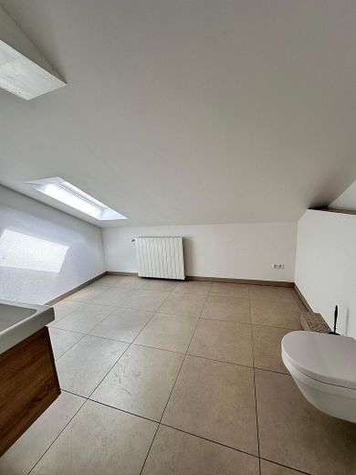 Exclusive house with a separate apartment in a quiet location on the edge of the forest in Tuttlingen – Bad DG