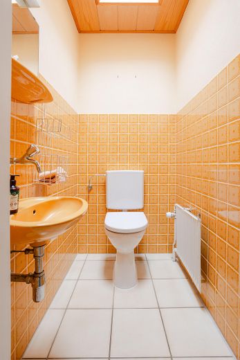 Gäste-WC mit Lichtkuppel